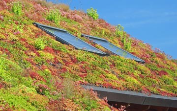 Caldecotte living roof systems